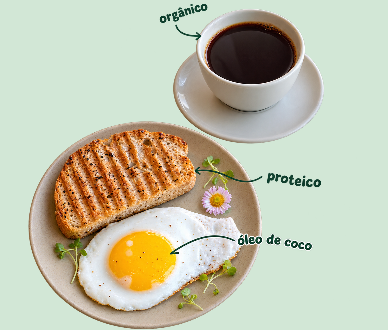 Prato Grow Basic Cortesia